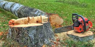 Best Lot and Land Clearing  in Long Valley, NJ